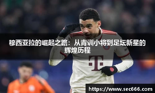 365WM完美体育官网