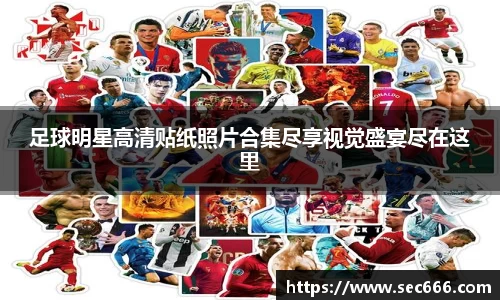 365WM完美体育官方app