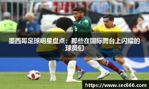 365WM完美体育官网