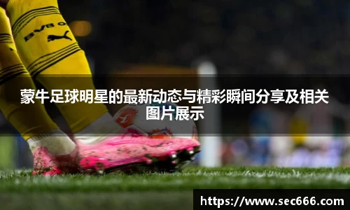 365WM完美体育官方网站